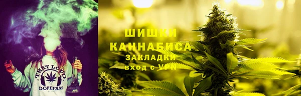 дживик Каменногорск