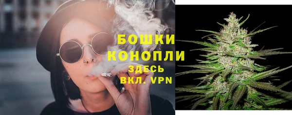 дживик Каменногорск