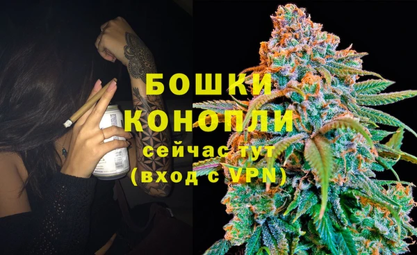 дживик Каменногорск
