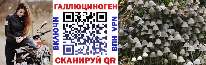 Галлюциногенные грибы мухоморы  Купить где  Игарка 